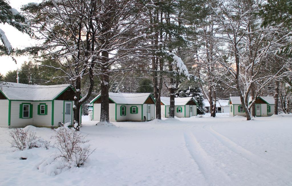 Pine Valley Cabins Thornton Phòng bức ảnh