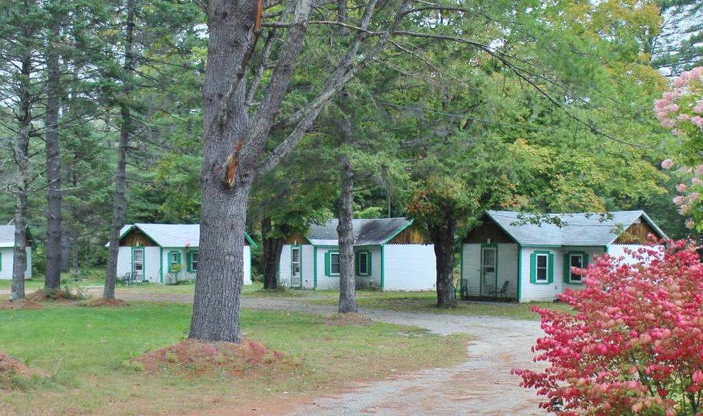 Pine Valley Cabins Thornton Phòng bức ảnh