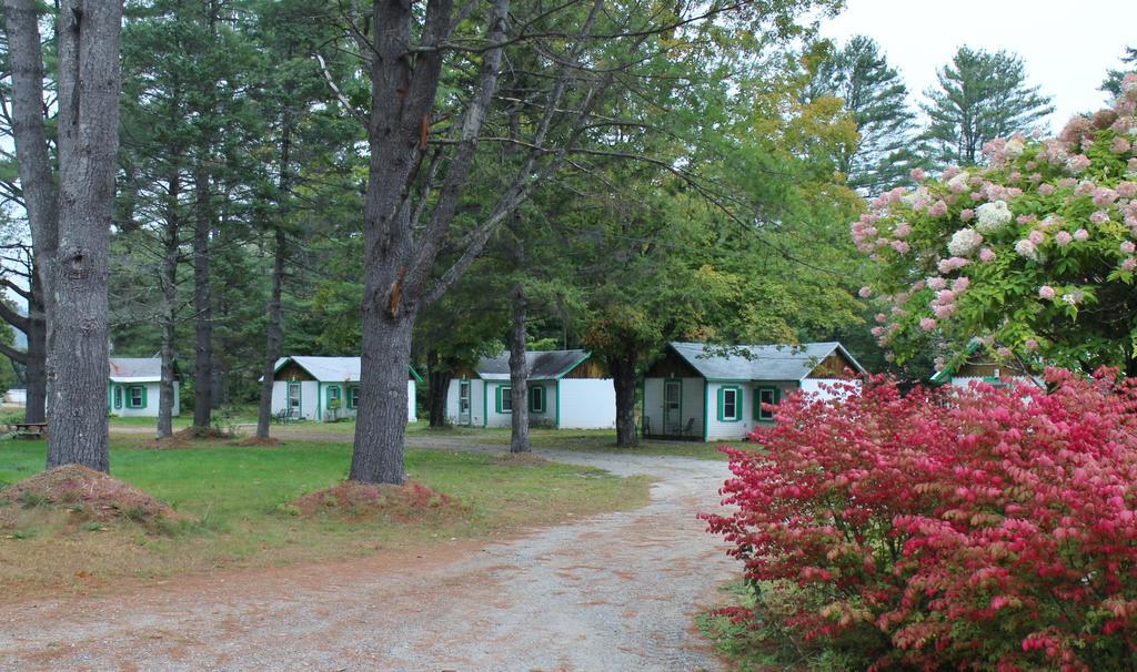 Pine Valley Cabins Thornton Ngoại thất bức ảnh