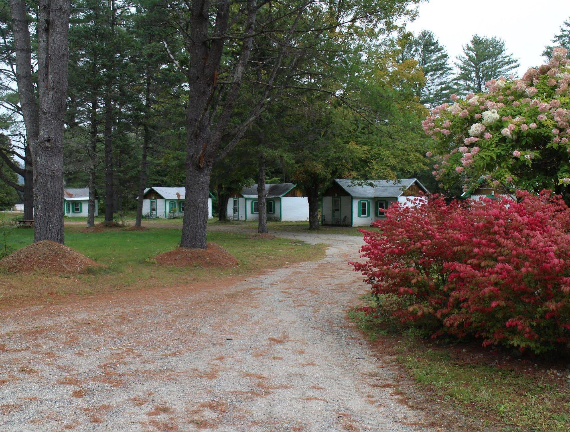 Pine Valley Cabins Thornton Ngoại thất bức ảnh