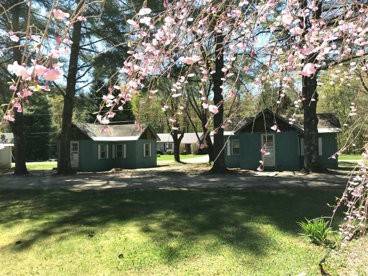 Pine Valley Cabins Thornton Ngoại thất bức ảnh